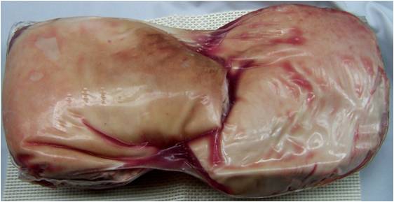 Cerdo - Pernil Delantero