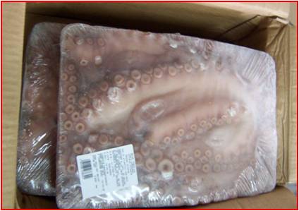 Pulpo Español IQF 7/UP